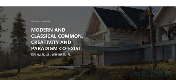 房地产公司网站模板 T9856.jpg 房地产公司网站模板 T9856.jpg