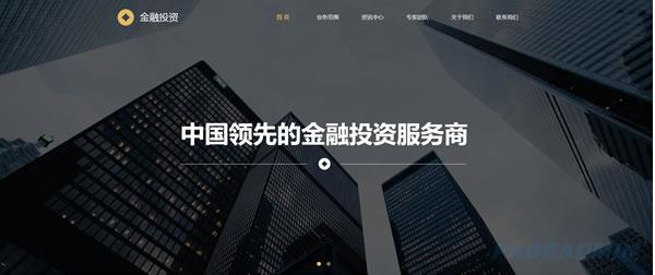 金融投资网站模板 T9909.jpg 金融投资网站模板 T9909.jpg